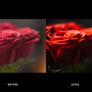 30 Cinematic Lightroom Presets - Lightroom Presets - CreativePresets.com