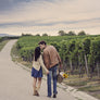 Natural Sky Overlays - Photoshop Overlays - CreativePresets.com