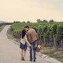 Natural Sky Overlays - Photoshop Overlays - CreativePresets.com