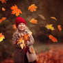 Autumn Leaves Overlays - Photoshop Overlays - CreativePresets.com