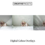 Digital Gobos Overlays - Photoshop Overlays - CreativePresets.com