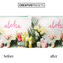 Digital Gobos Overlays - Photoshop Overlays - CreativePresets.com