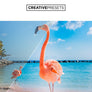 Vivid Film Lightroom Presets - Lightroom Presets - CreativePresets.com