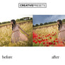 Wild Poppies Leaves Overlays - Photoshop Overlays - CreativePresets.com
