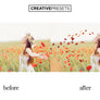 Wild Poppies Leaves Overlays - Photoshop Overlays - CreativePresets.com