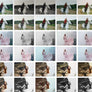 30 Lightroom Presets for Portrait - Lightroom Presets - CreativePresets.com