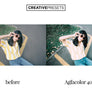 Film Emulation - Lightroom Presets - Lightroom Presets - CreativePresets.com