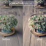Vintage Lightroom Presets - Lightroom Presets - CreativePresets.com