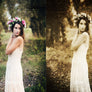 Wet Plate Lightroom Presets + Overlays - Lightroom Presets - CreativePresets.com