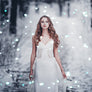 Christmas Bokeh Overlays - Photoshop Overlays - CreativePresets.com