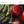 30 Better Food Lightroom Presets - Lightroom Presets - CreativePresets.com